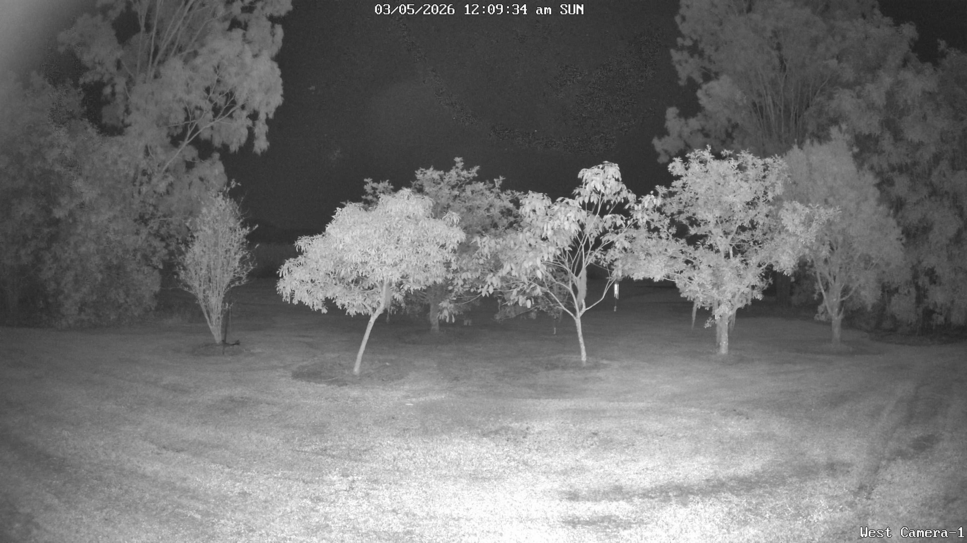 time-lapse frame, KelseyCreek West View webcam