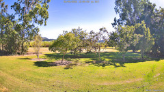view from KelseyCreek West View on 2026-06-06
