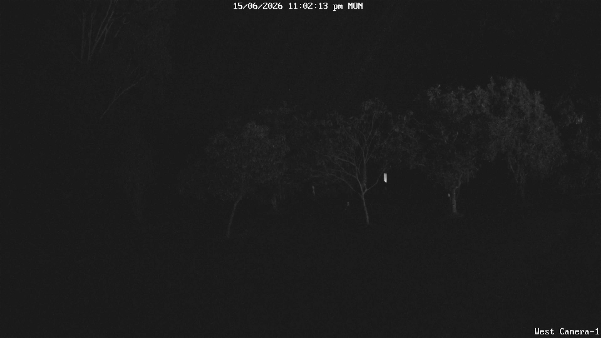 time-lapse frame, KelseyCreek West View webcam