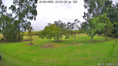 view from KelseyCreek West View on 2026-06-18