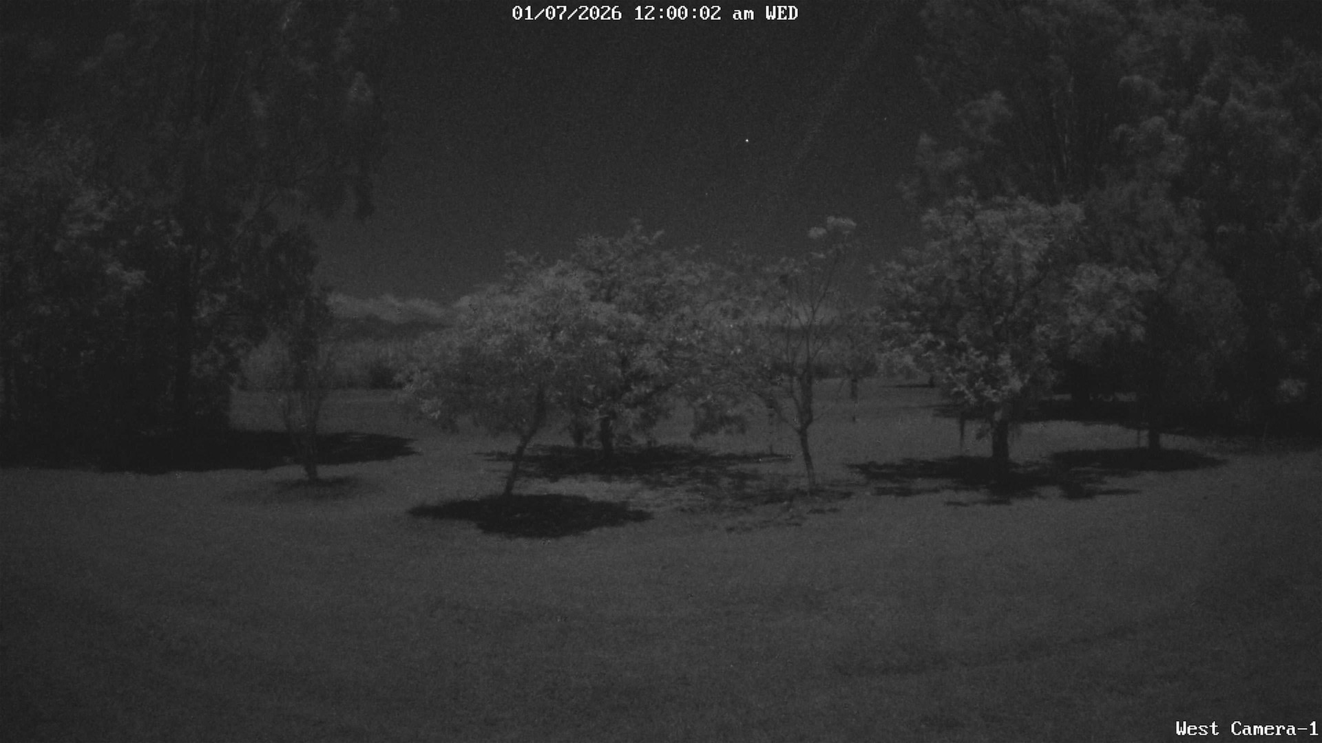time-lapse frame, KelseyCreek West View webcam