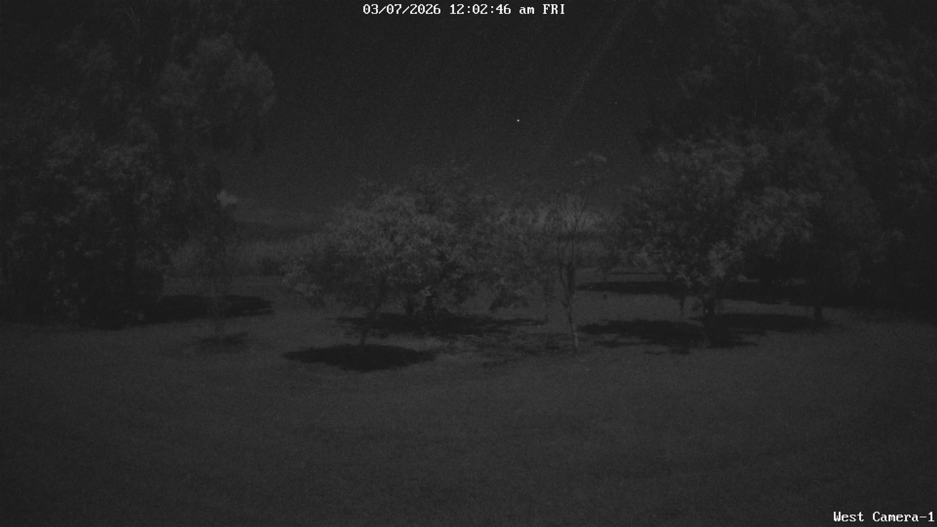 time-lapse frame, KelseyCreek West View webcam