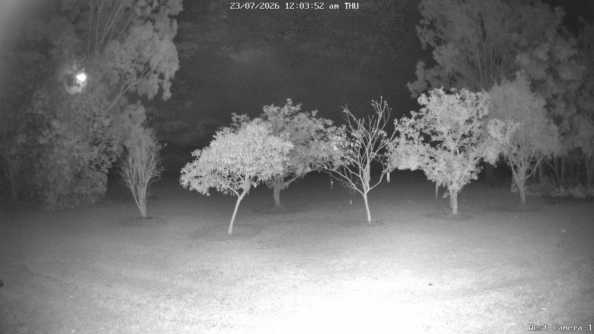 time-lapse frame, KelseyCreek West View webcam