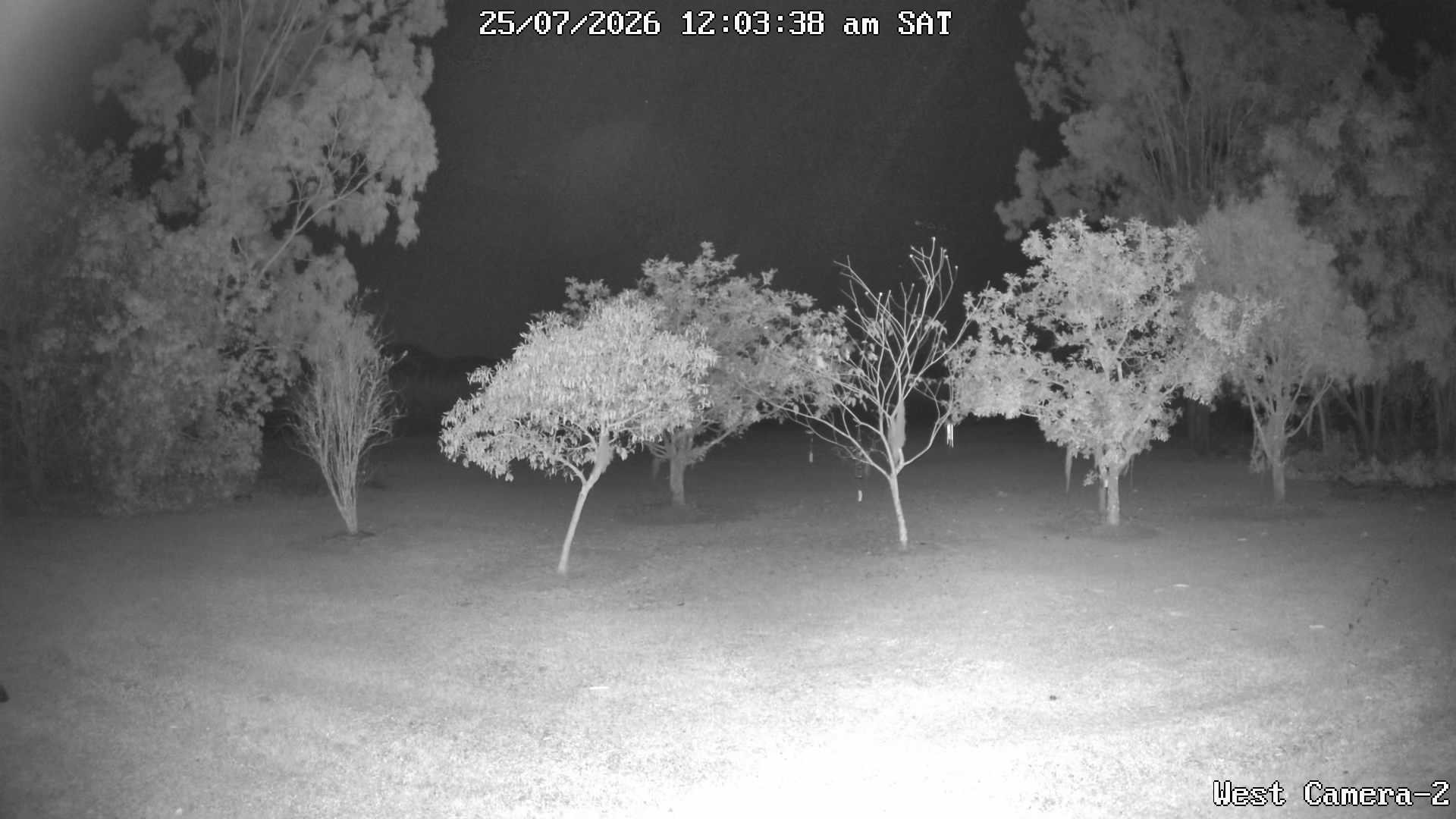 time-lapse frame, KelseyCreek West View webcam