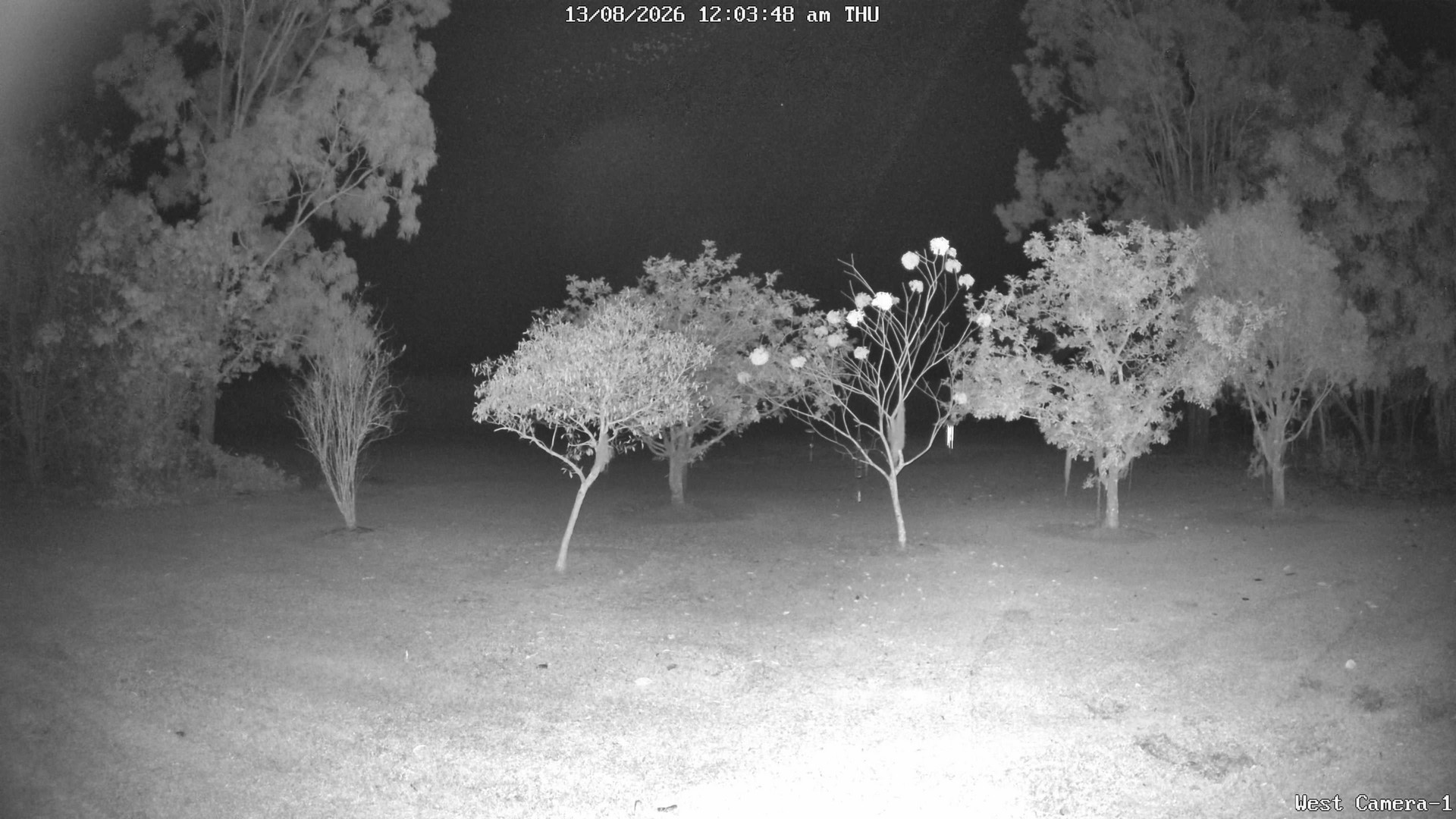 time-lapse frame, KelseyCreek West View webcam