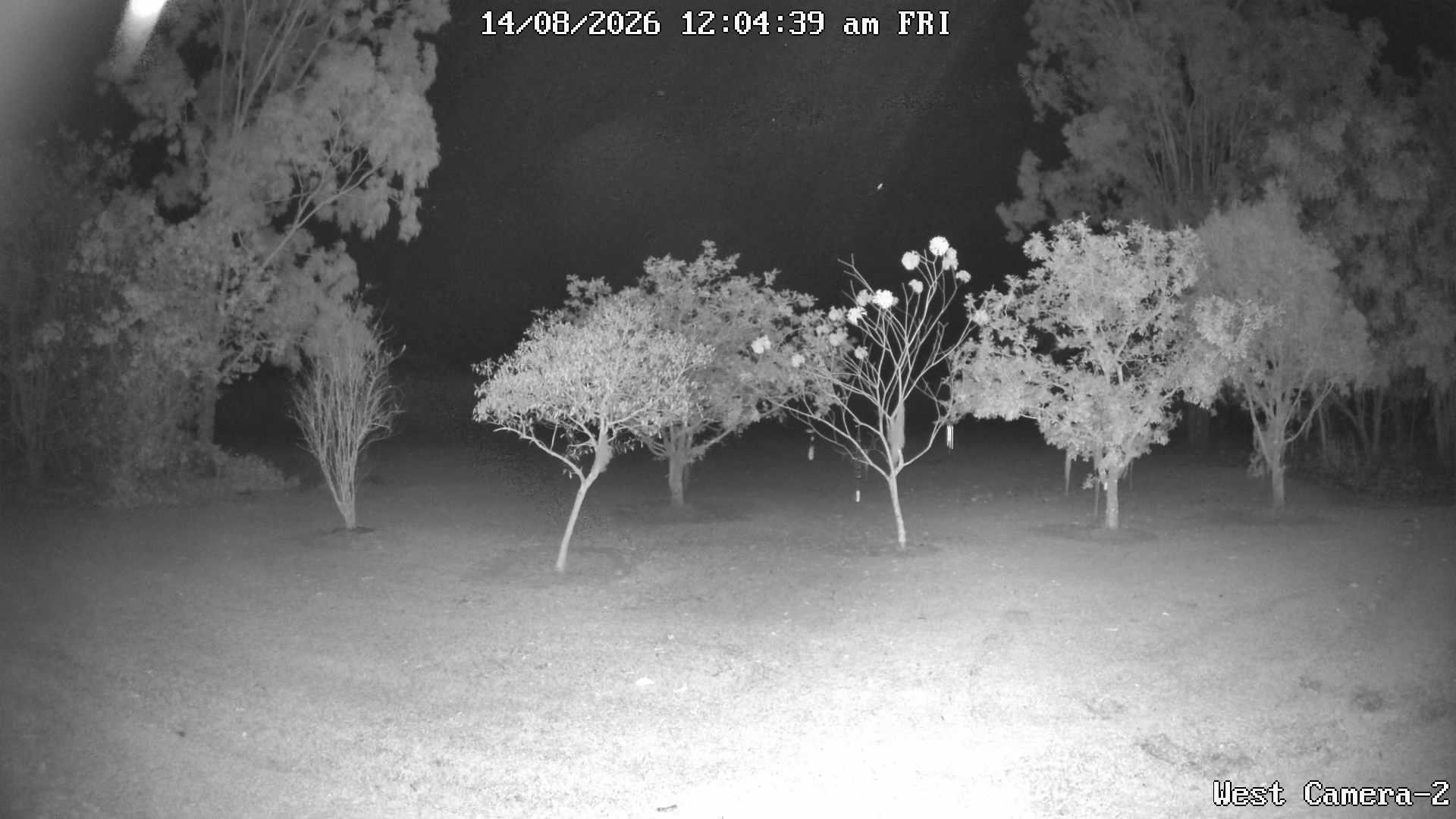 time-lapse frame, KelseyCreek West View webcam