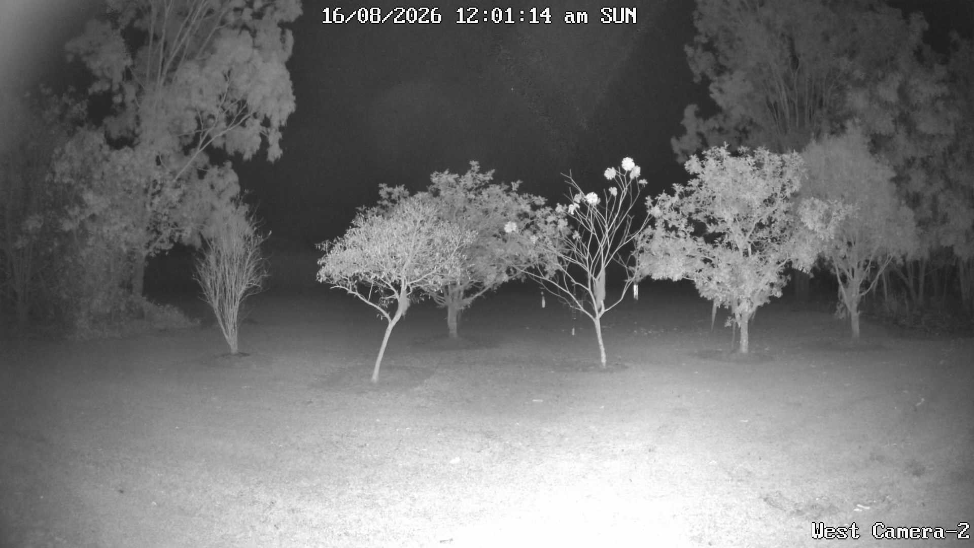 time-lapse frame, KelseyCreek West View webcam