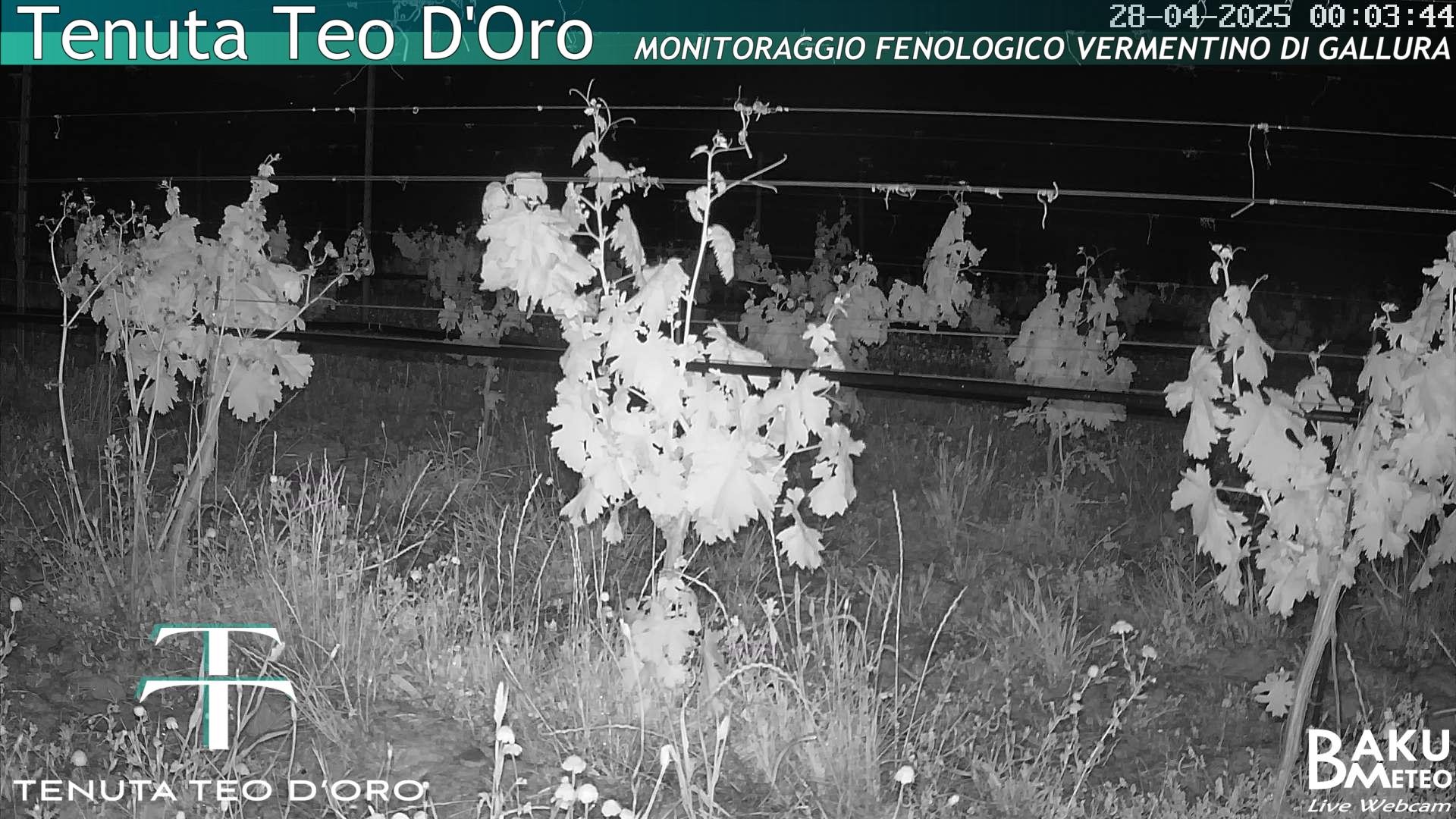 time-lapse frame, Teodoro webcam