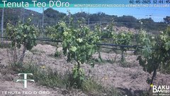 view from Teodoro on 2025-05-02