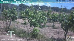 view from Teodoro on 2025-05-05