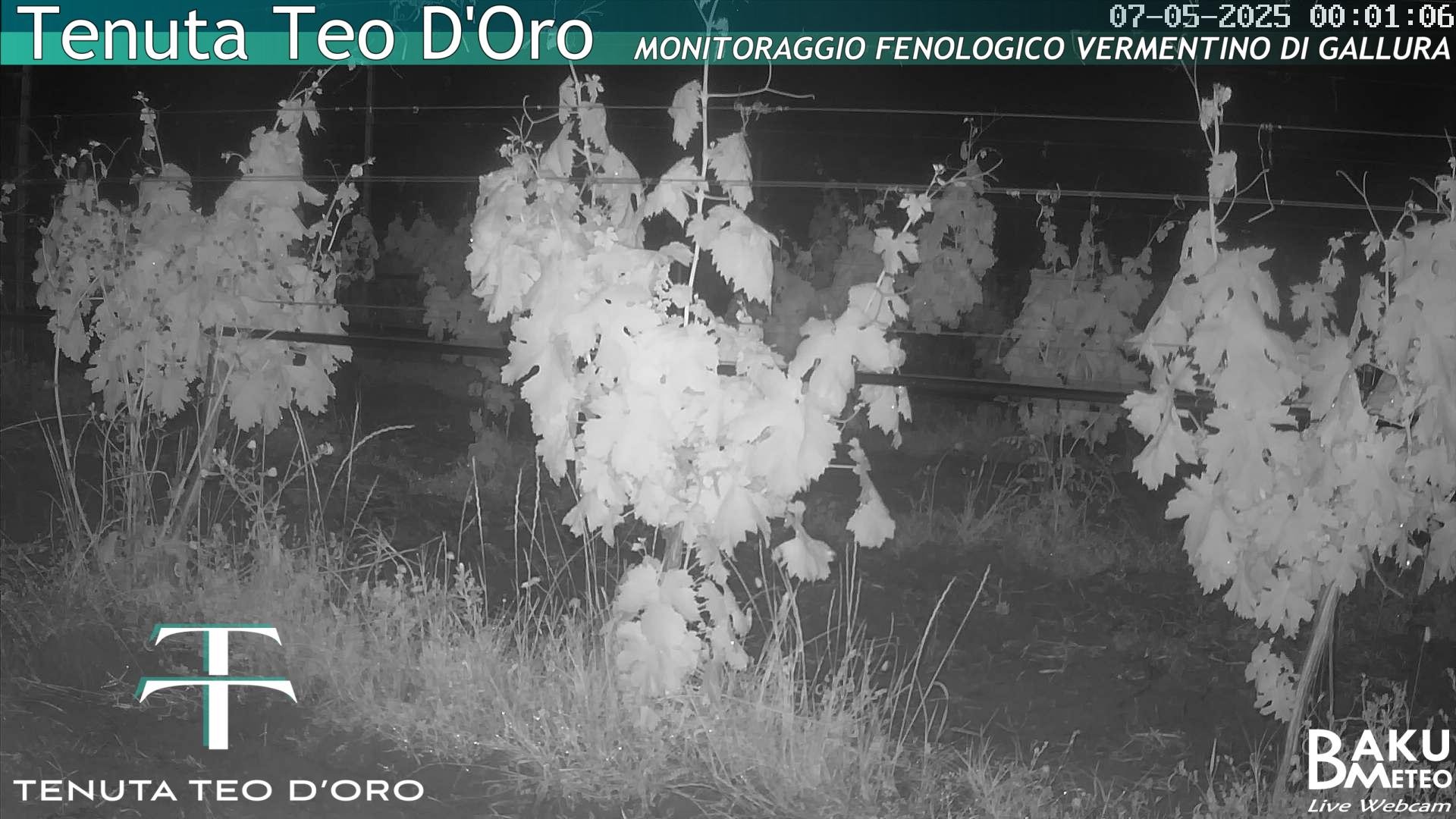 time-lapse frame, Teodoro webcam