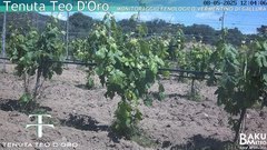 view from Teodoro on 2025-05-08