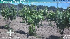 view from Teodoro on 2025-05-09
