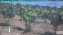 view from Teodoro on 2025-05-11