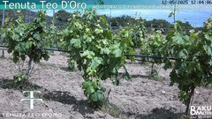 view from Teodoro on 2025-05-12