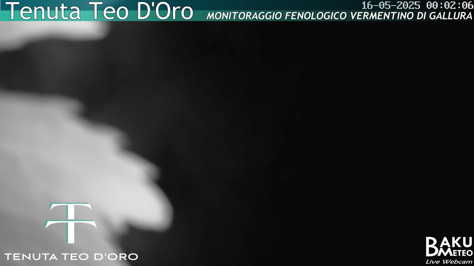 time-lapse frame, Teodoro webcam