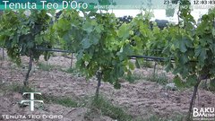 view from Teodoro on 2025-05-23