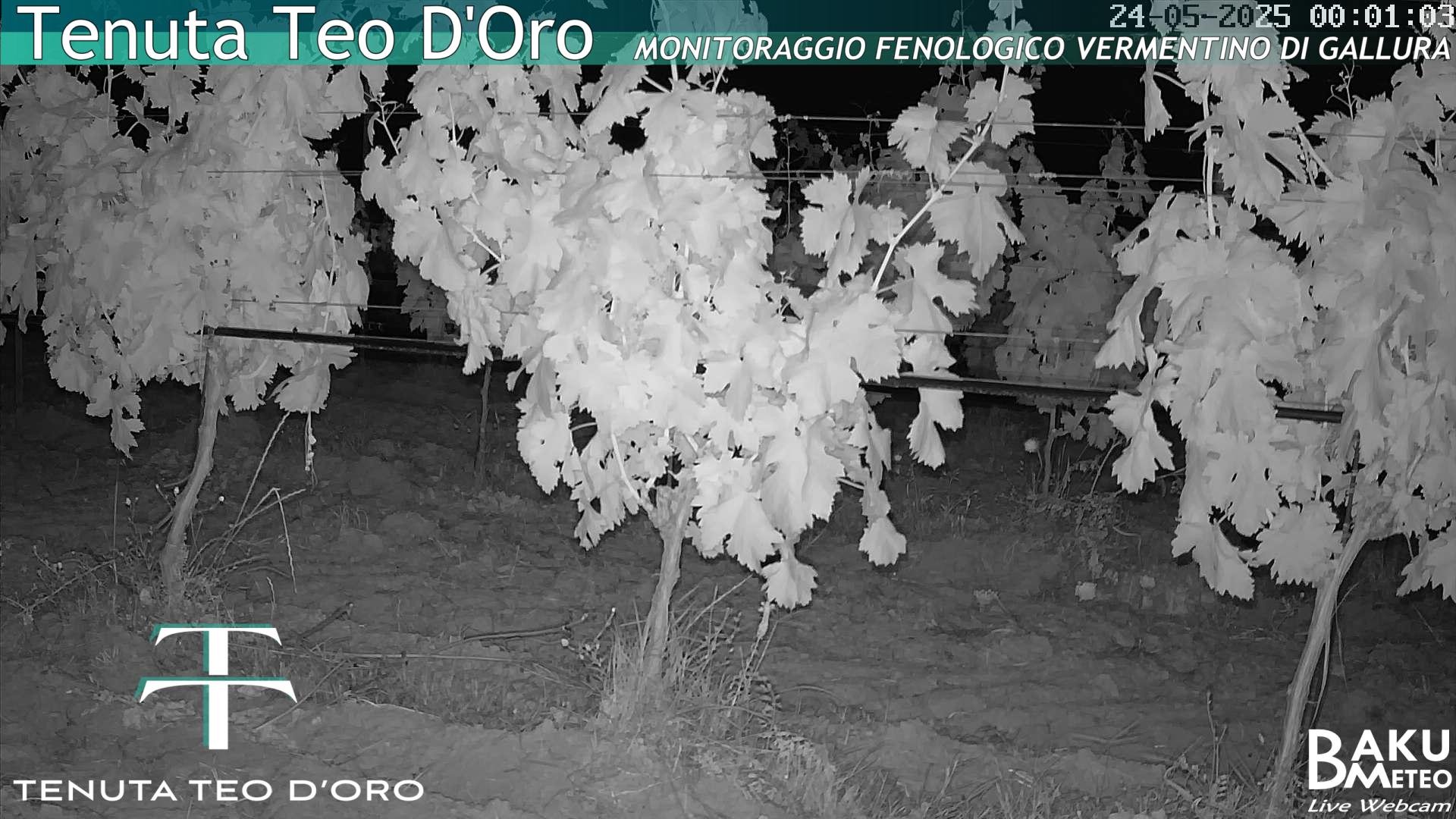 time-lapse frame, Teodoro webcam