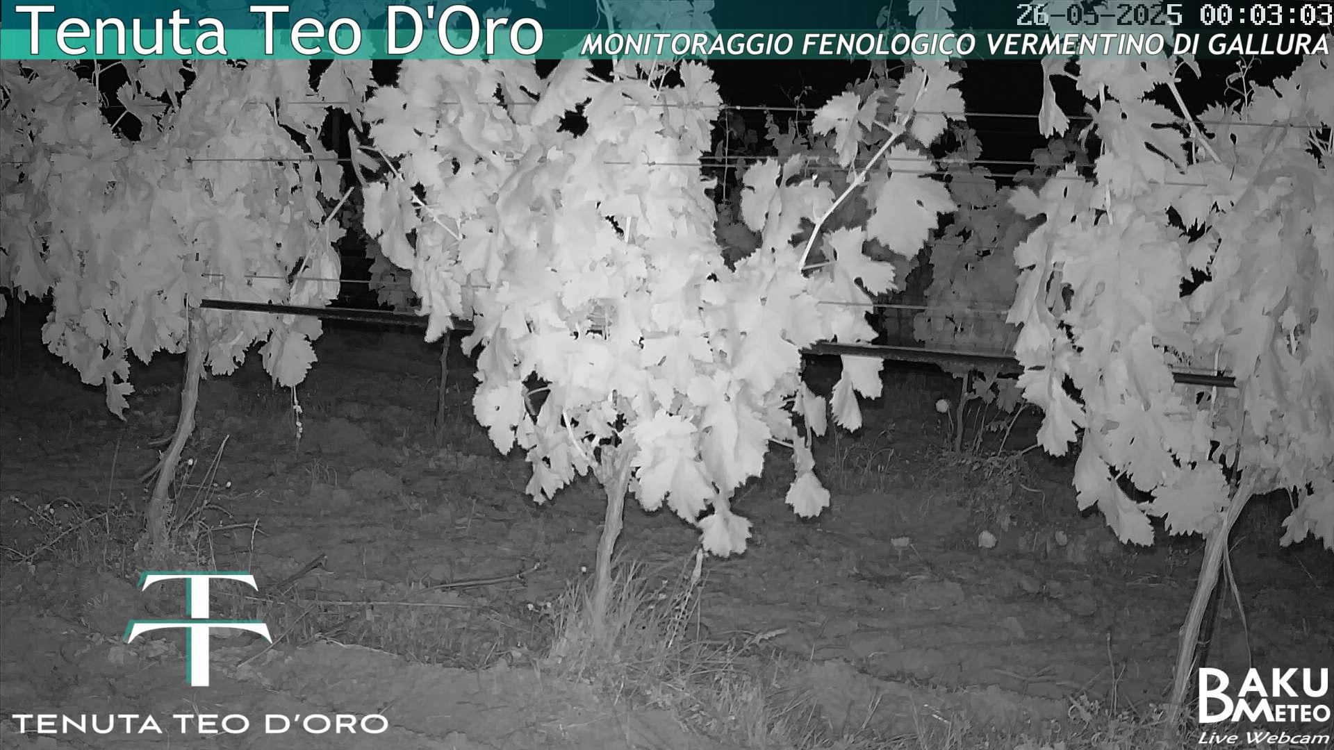 time-lapse frame, Teodoro webcam