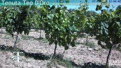 view from Teodoro on 2025-05-27