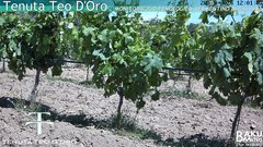 view from Teodoro on 2025-05-28