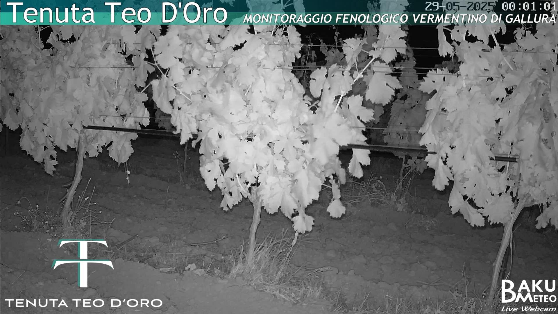 time-lapse frame, Teodoro webcam