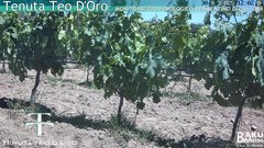 view from Teodoro on 2025-05-30