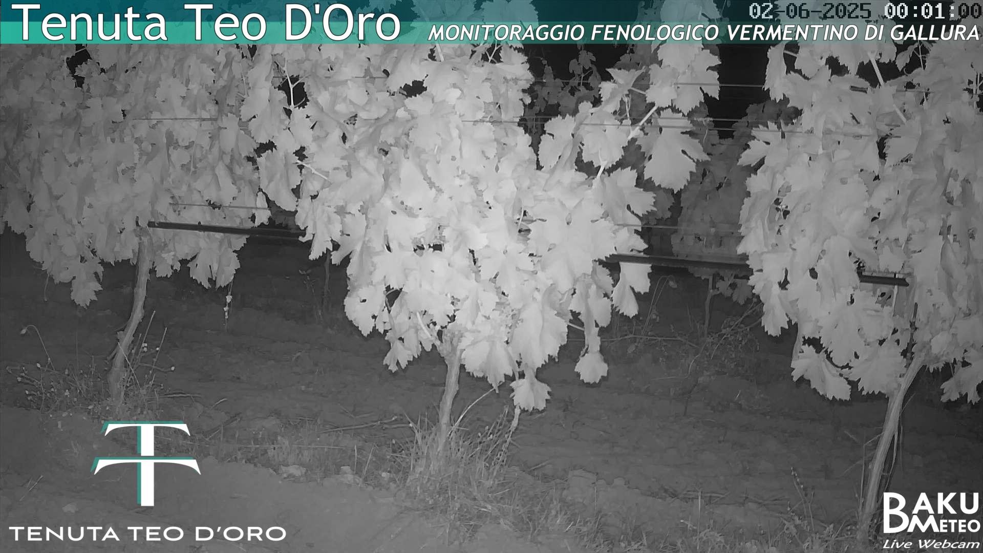 time-lapse frame, Teodoro webcam
