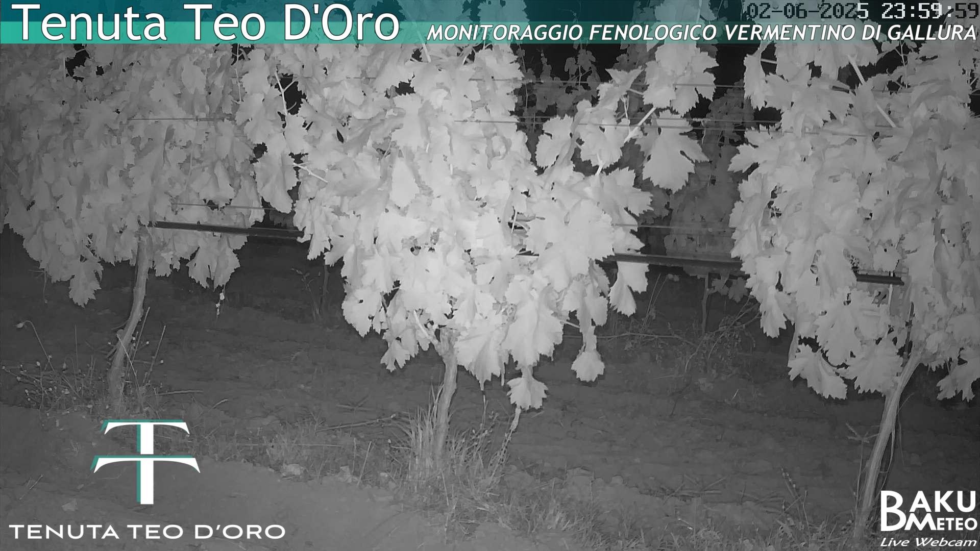 time-lapse frame, Teodoro webcam