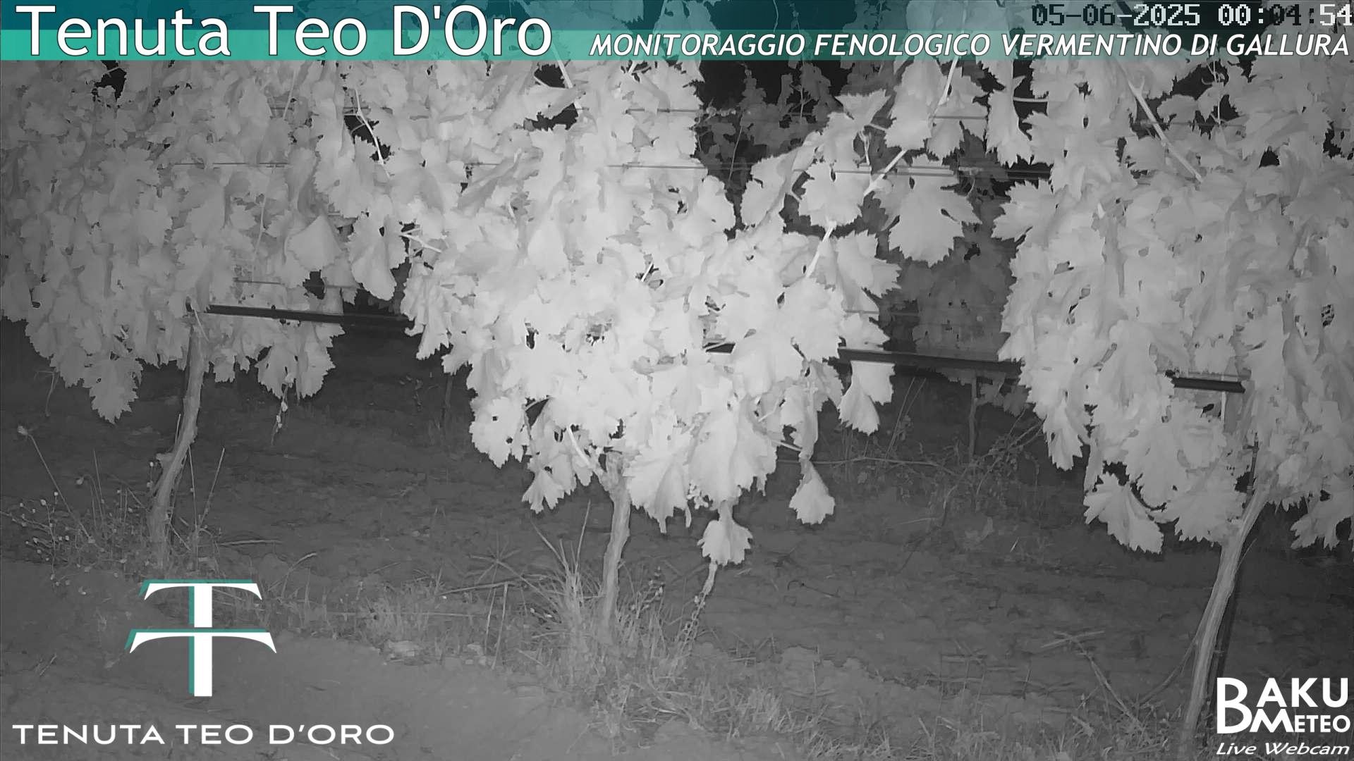time-lapse frame, Teodoro webcam