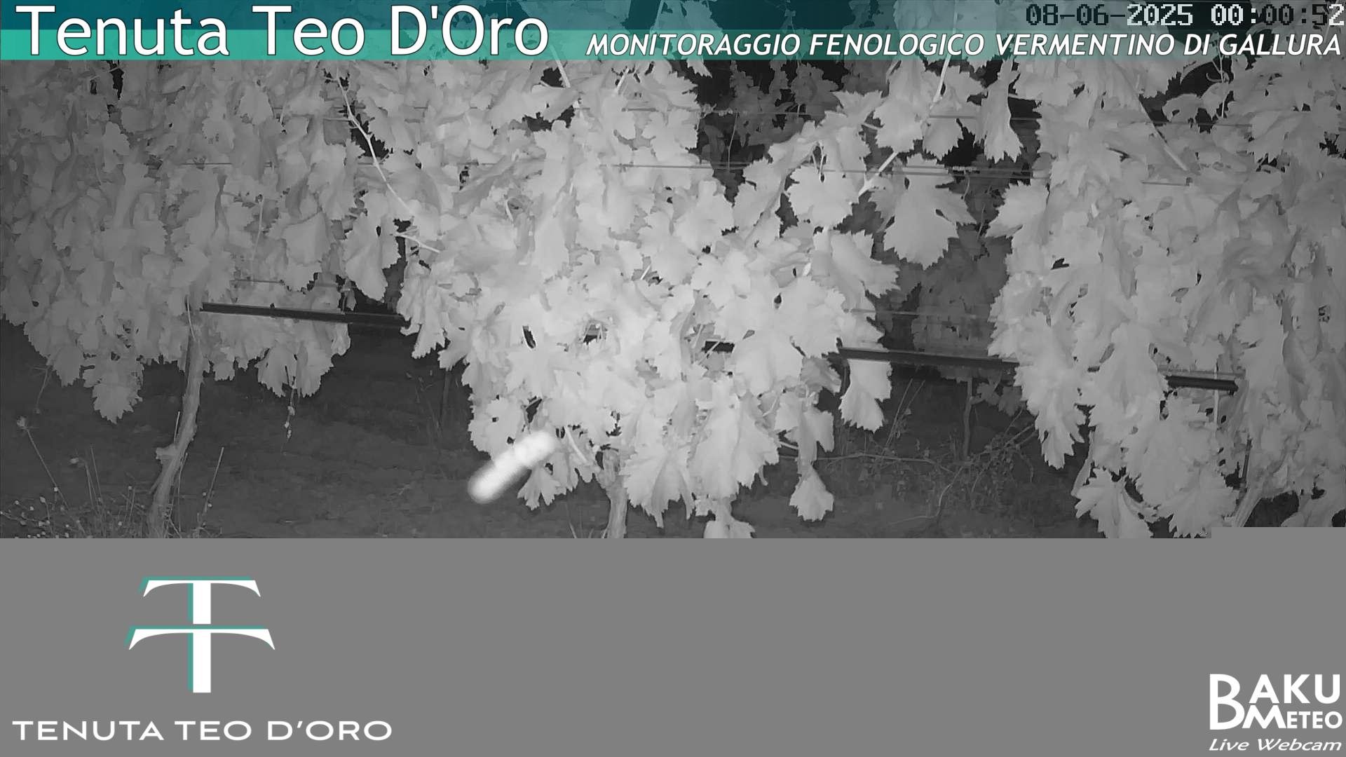 time-lapse frame, Teodoro webcam