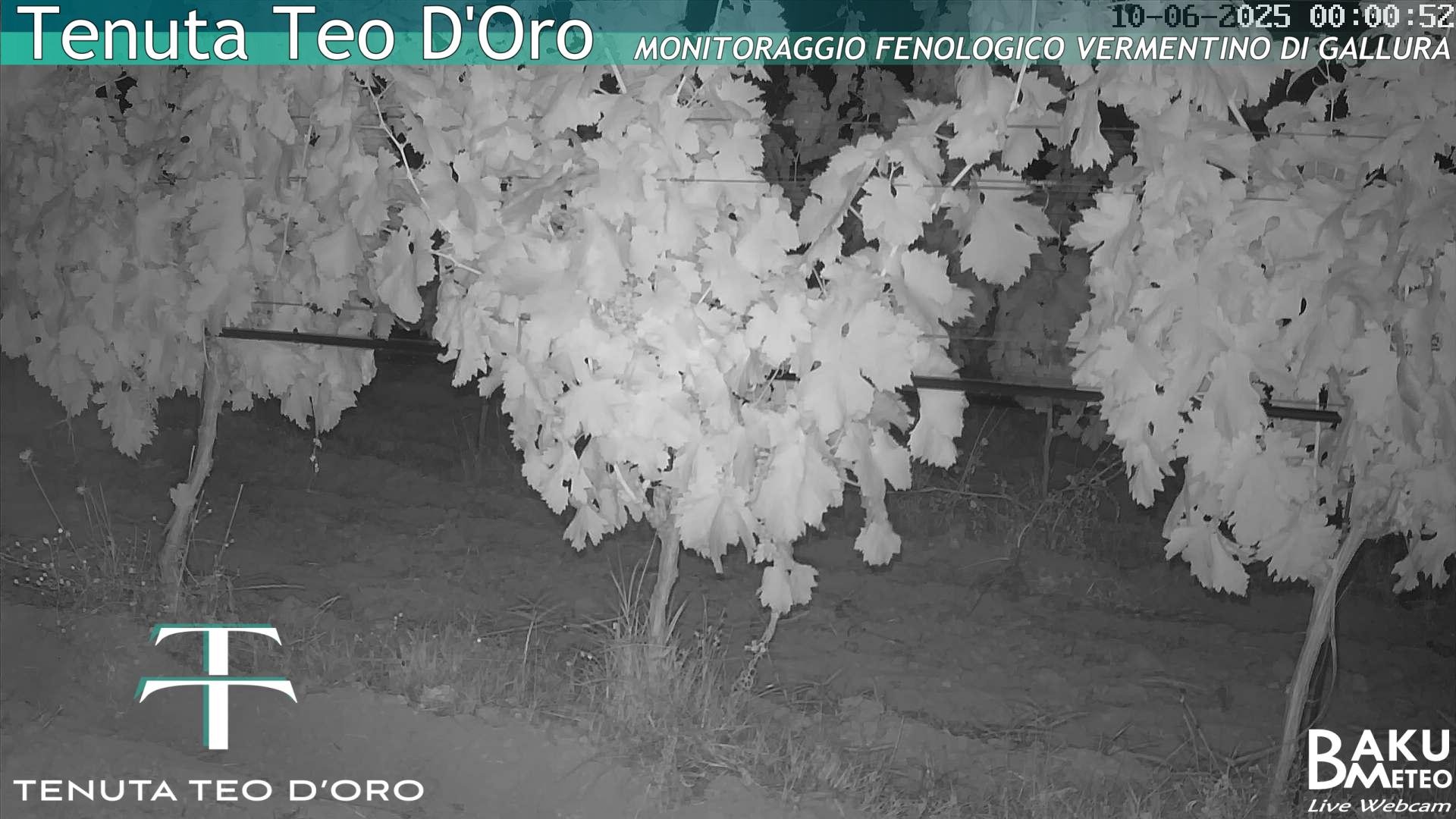 time-lapse frame, Teodoro webcam