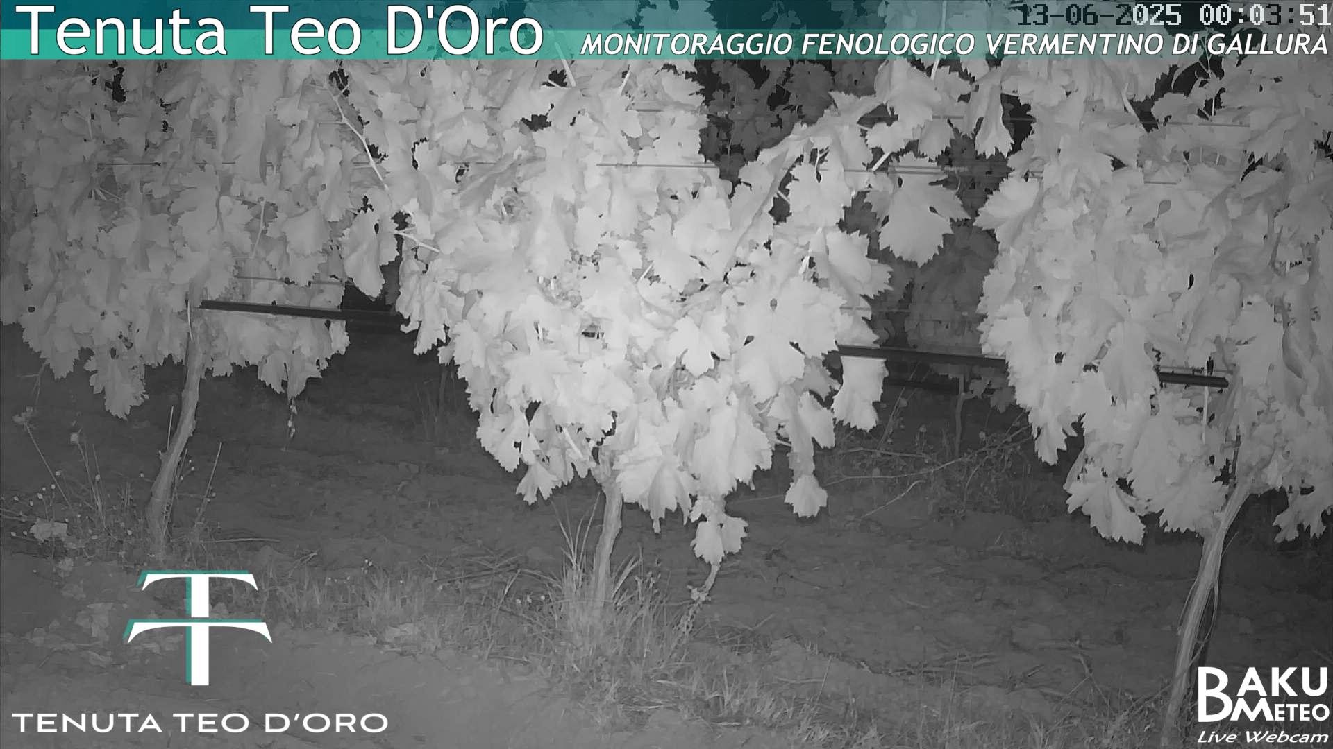 time-lapse frame, Teodoro webcam