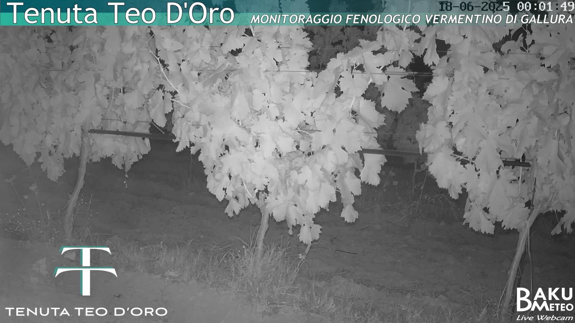 time-lapse frame, Teodoro webcam