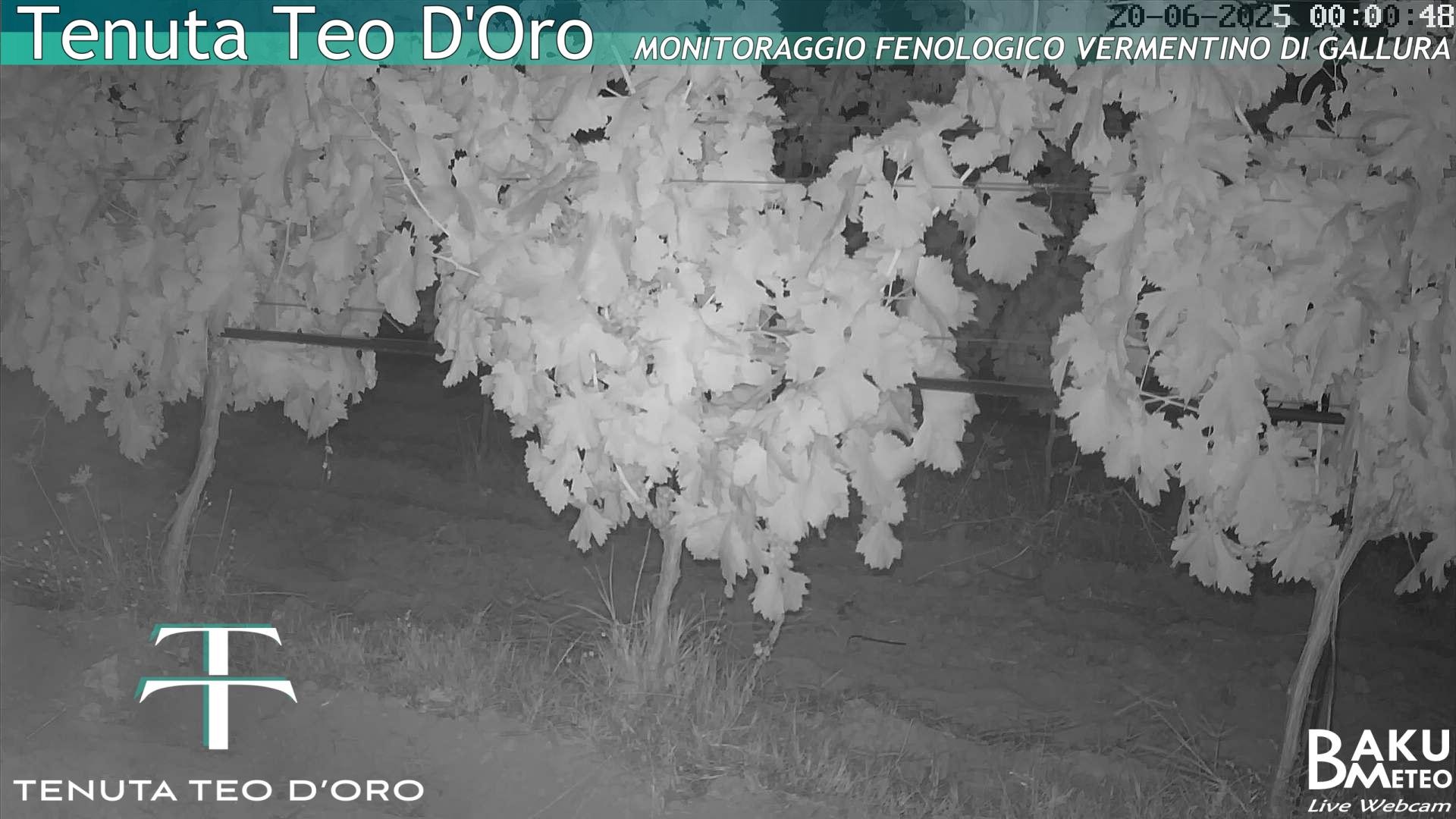 time-lapse frame, Teodoro webcam
