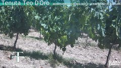 view from Teodoro on 2025-06-25