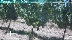 view from Teodoro on 2025-06-30