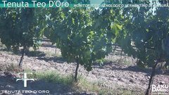 view from Teodoro on 2025-07-01