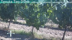 view from Teodoro on 2025-07-01