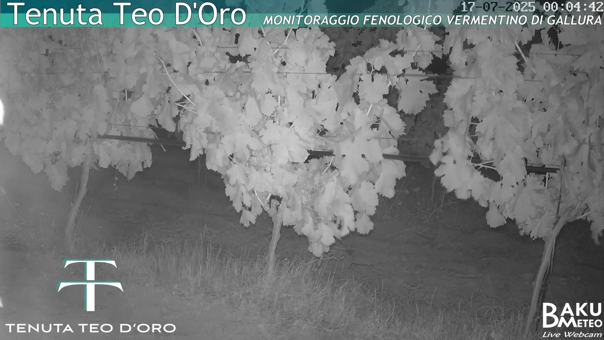 time-lapse frame, Teodoro webcam