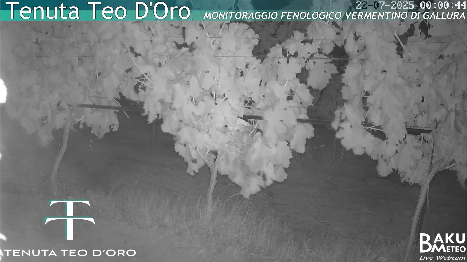time-lapse frame, Teodoro webcam
