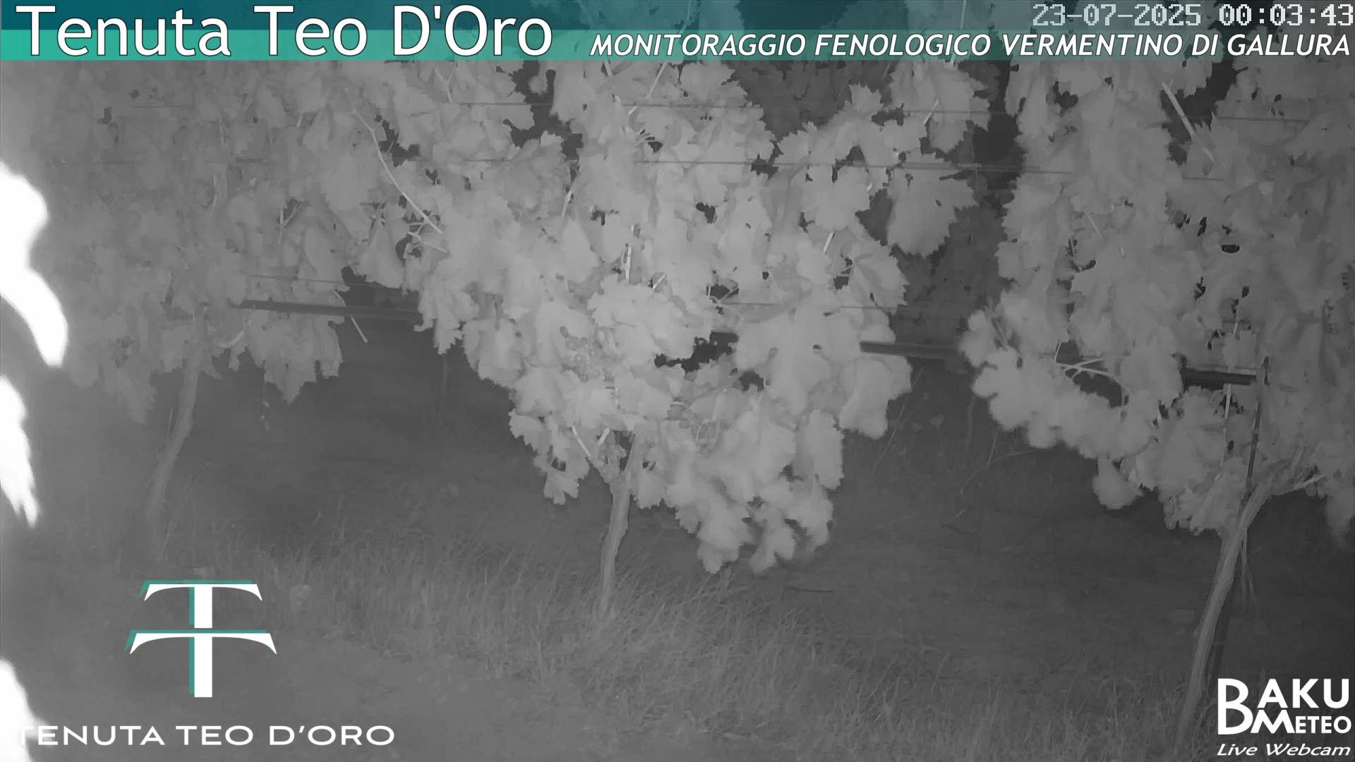 time-lapse frame, Teodoro webcam