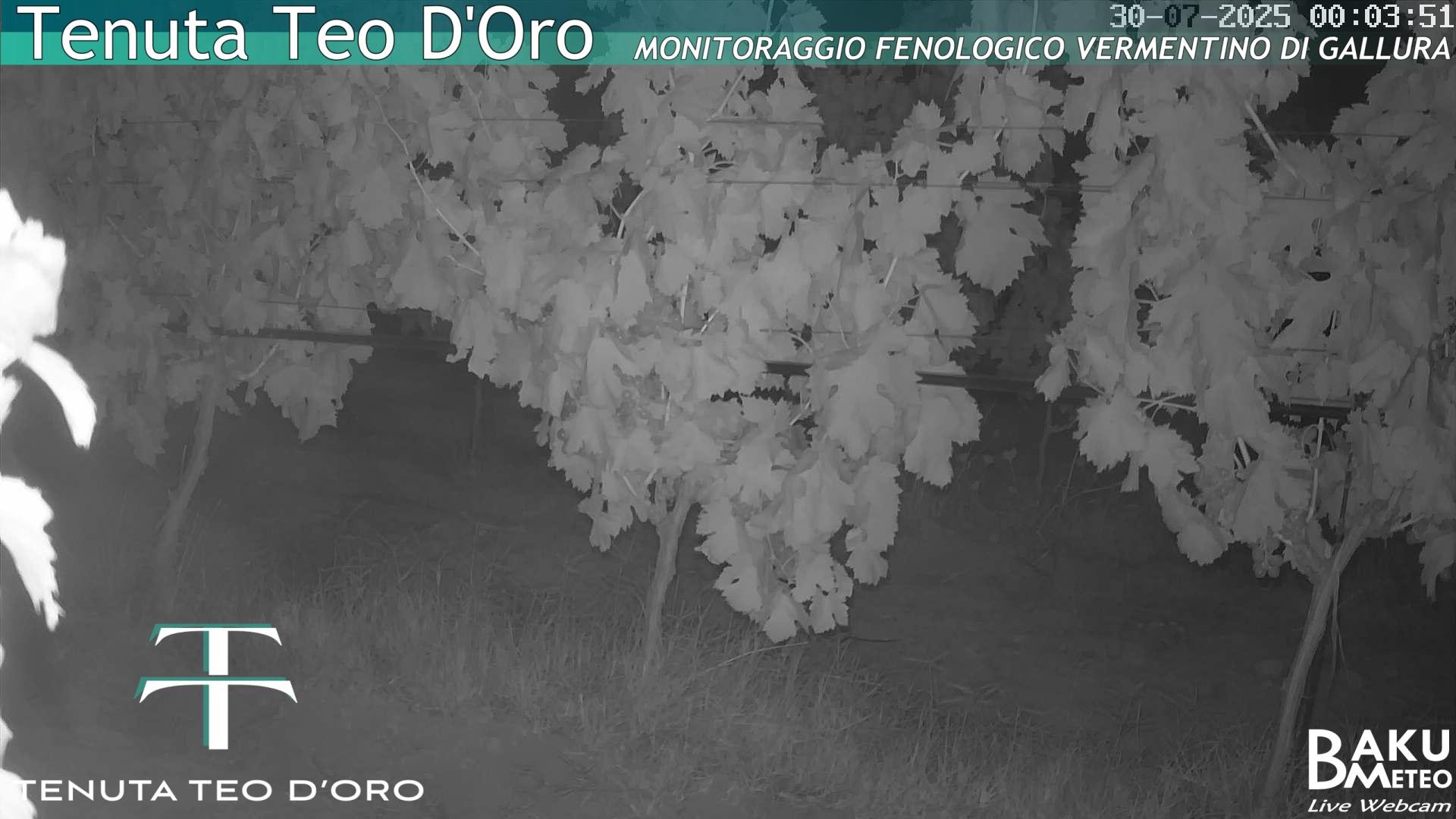 time-lapse frame, Teodoro webcam