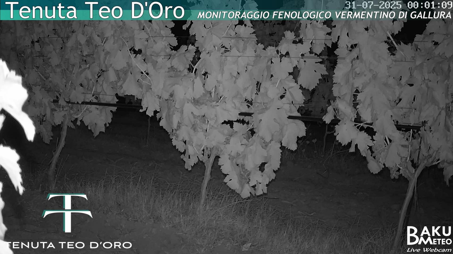 time-lapse frame, Teodoro webcam