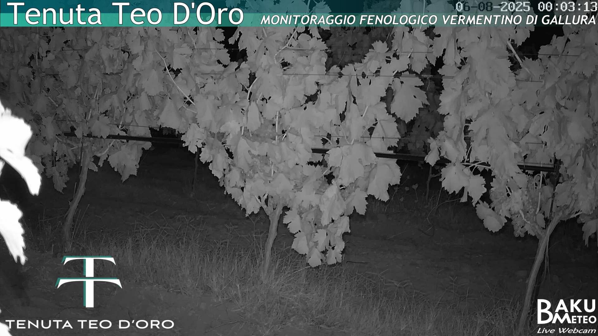 time-lapse frame, Teodoro webcam