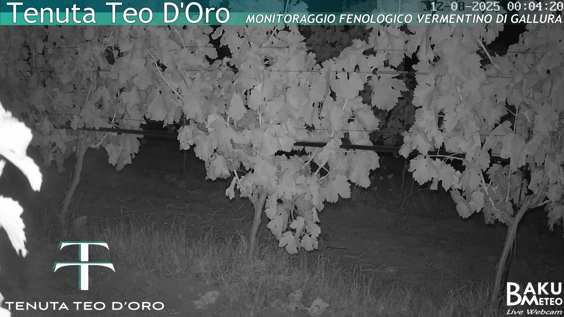 time-lapse frame, Teodoro webcam