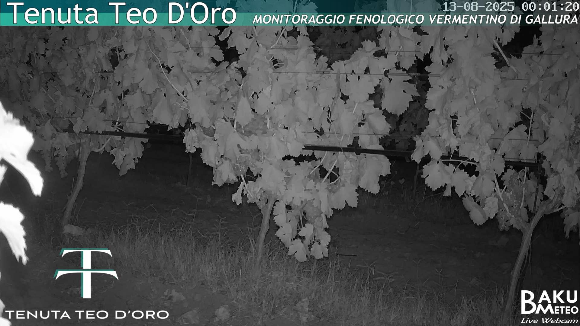 time-lapse frame, Teodoro webcam