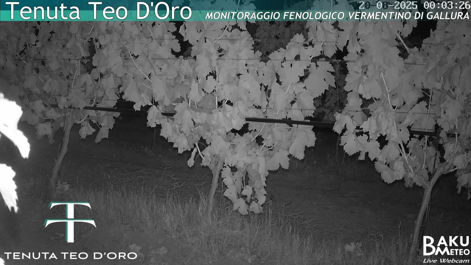 time-lapse frame, Teodoro webcam