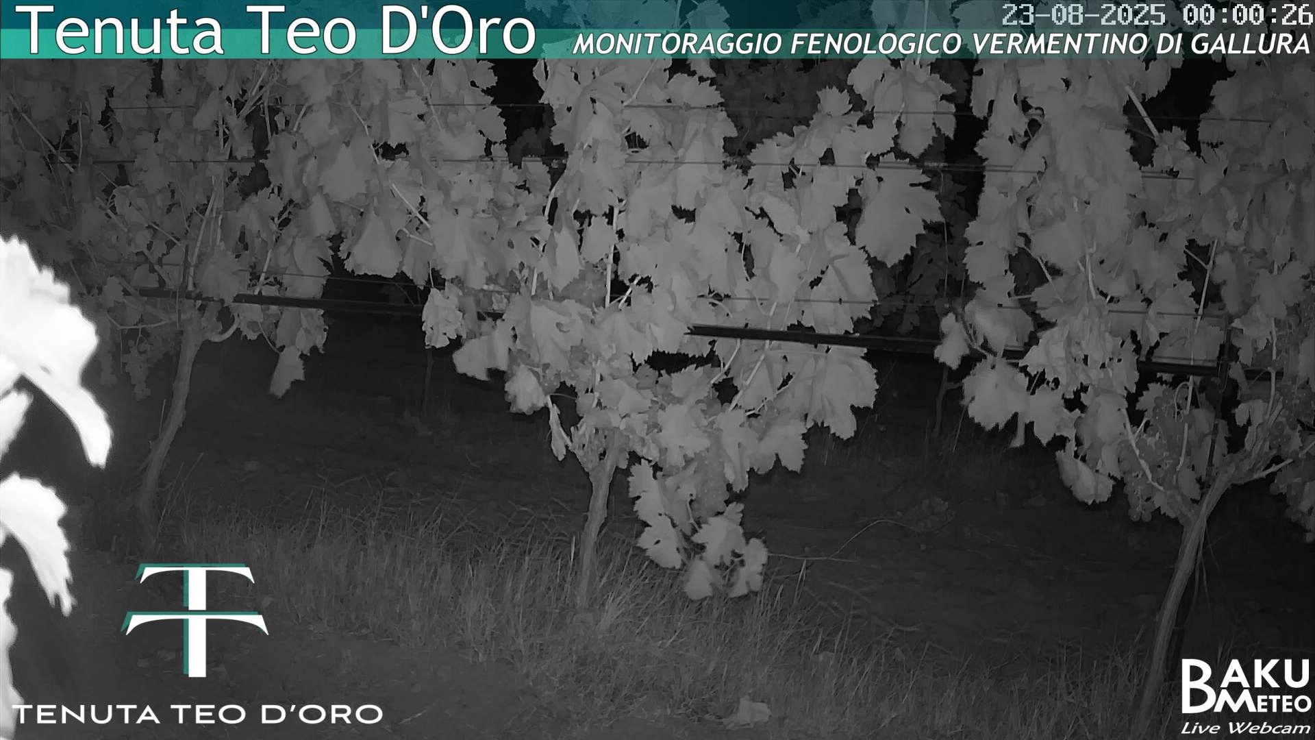 time-lapse frame, Teodoro webcam
