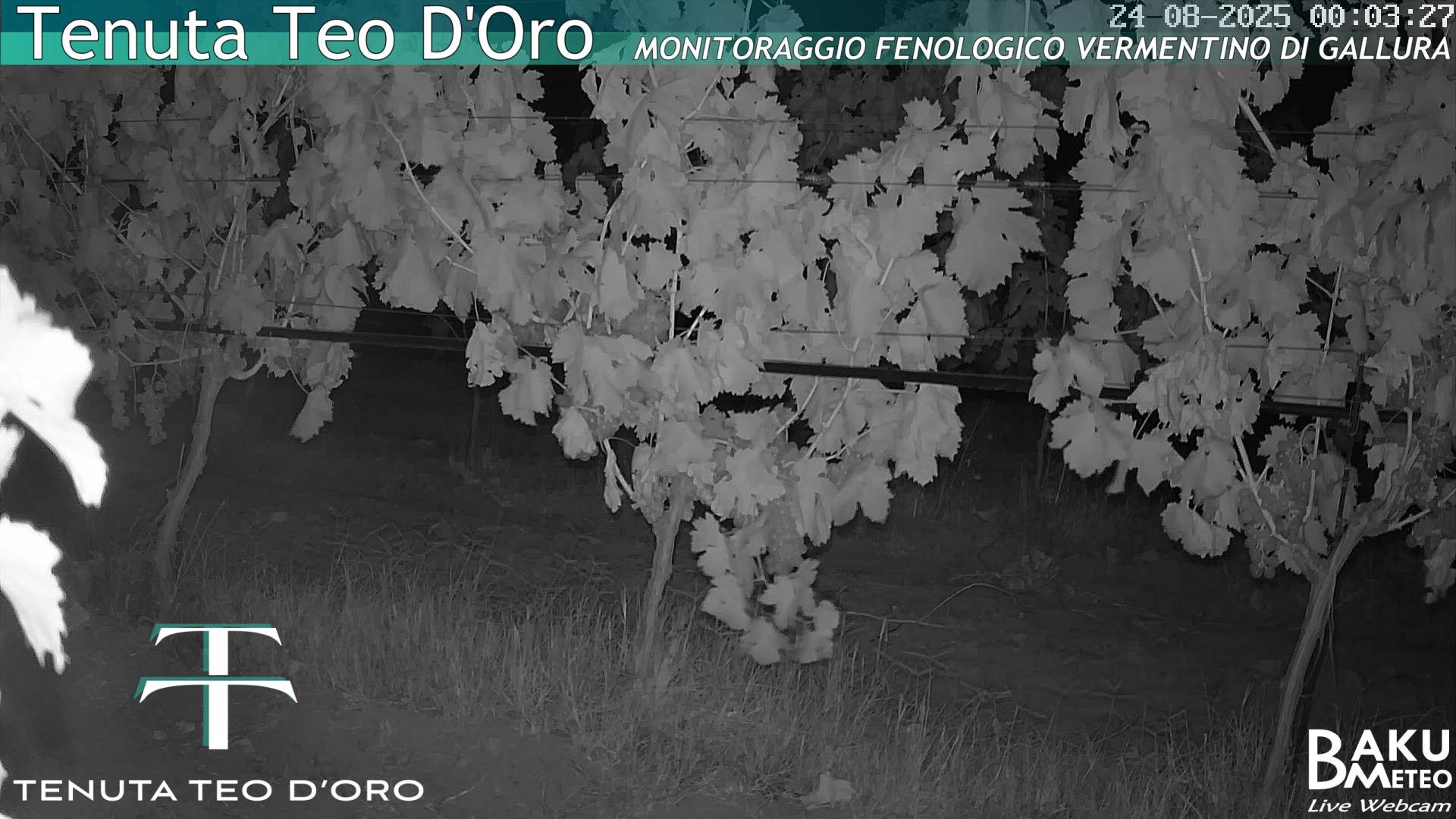 time-lapse frame, Teodoro webcam